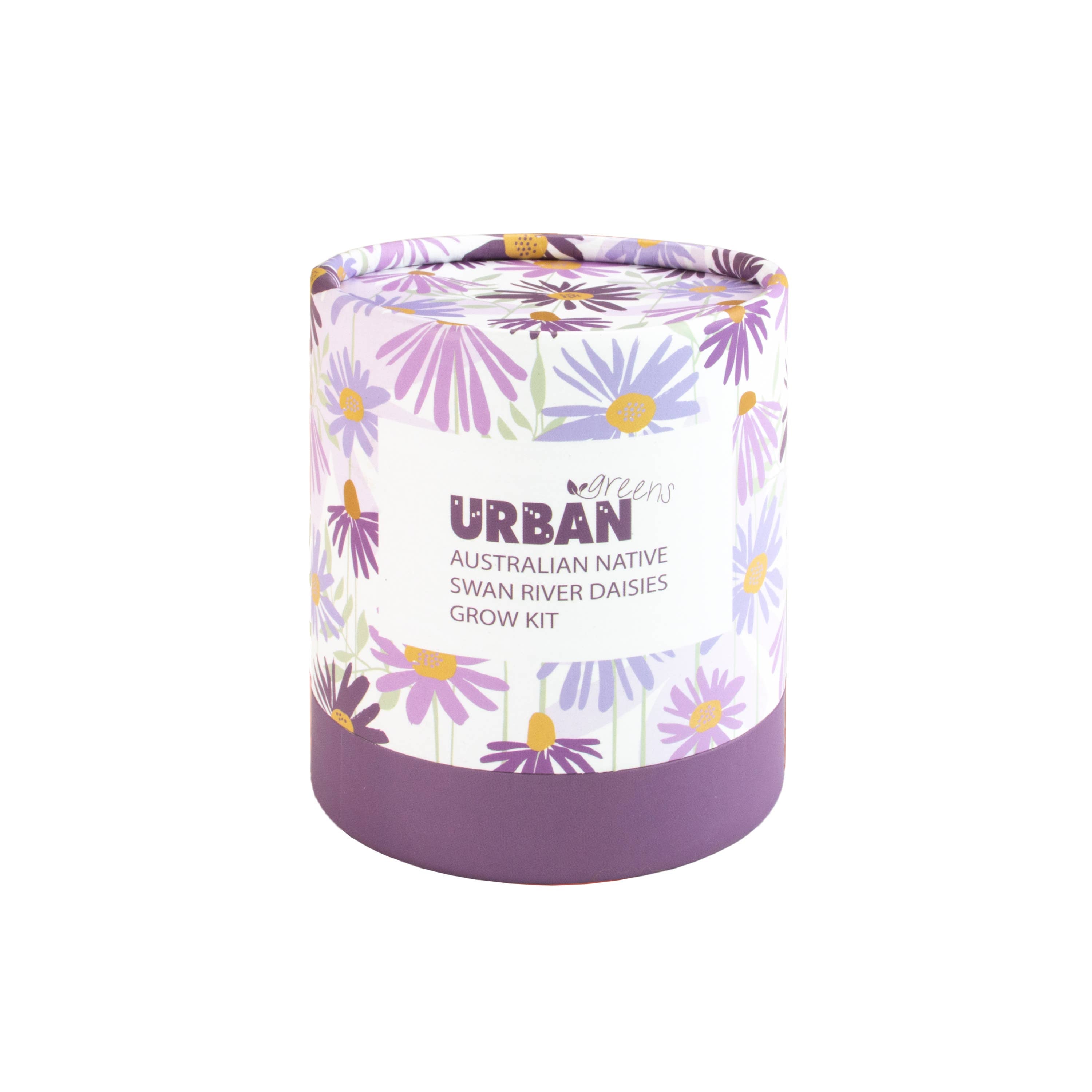 Urban Greens Australian Native Swan  Daisies Grow Kit