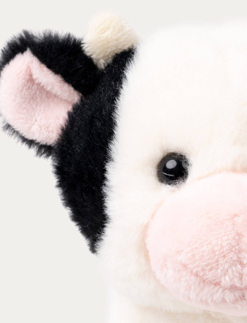Teddy Farm, Sitting Cow