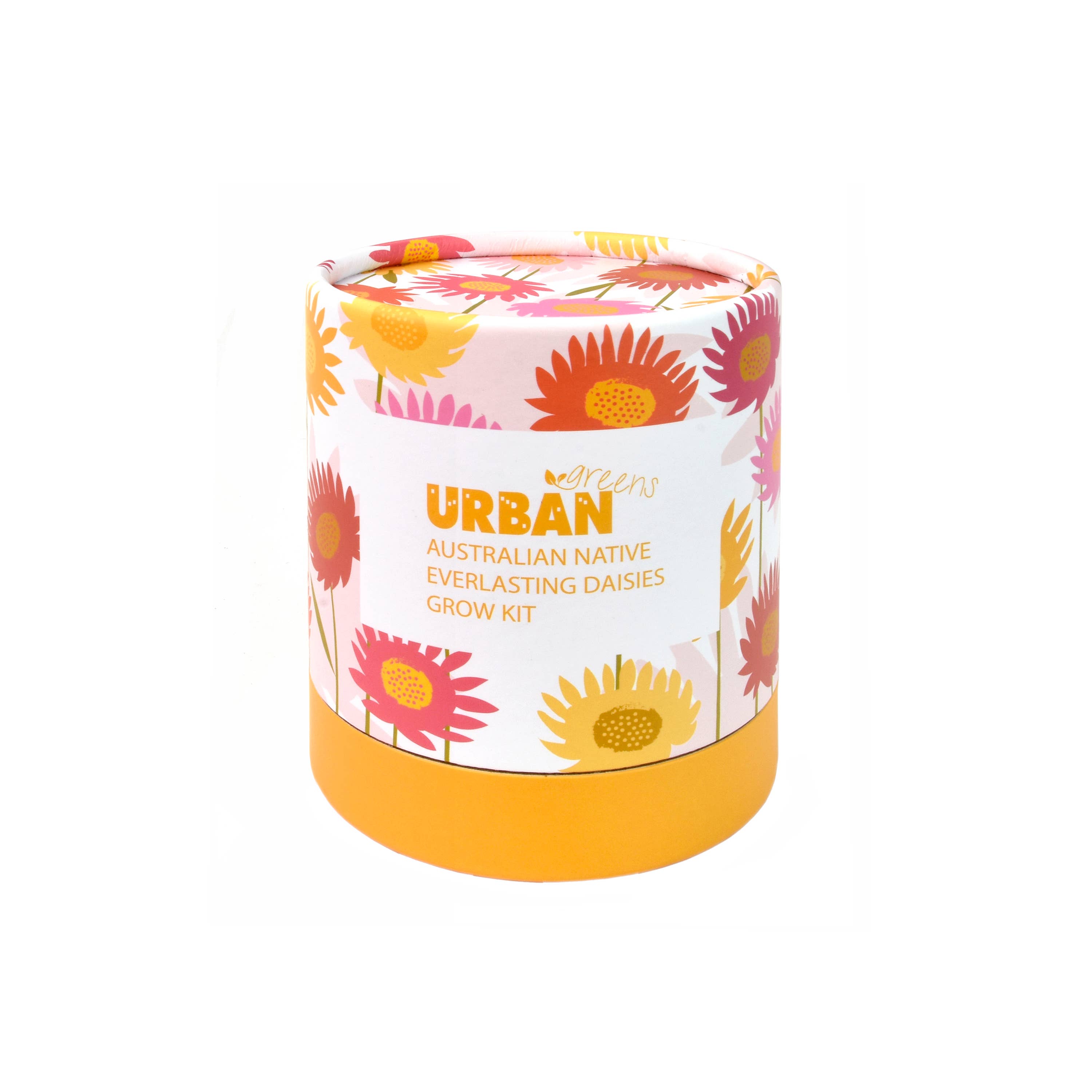 Urban Greens Australian Native Everlasting Daisies Grow Kit