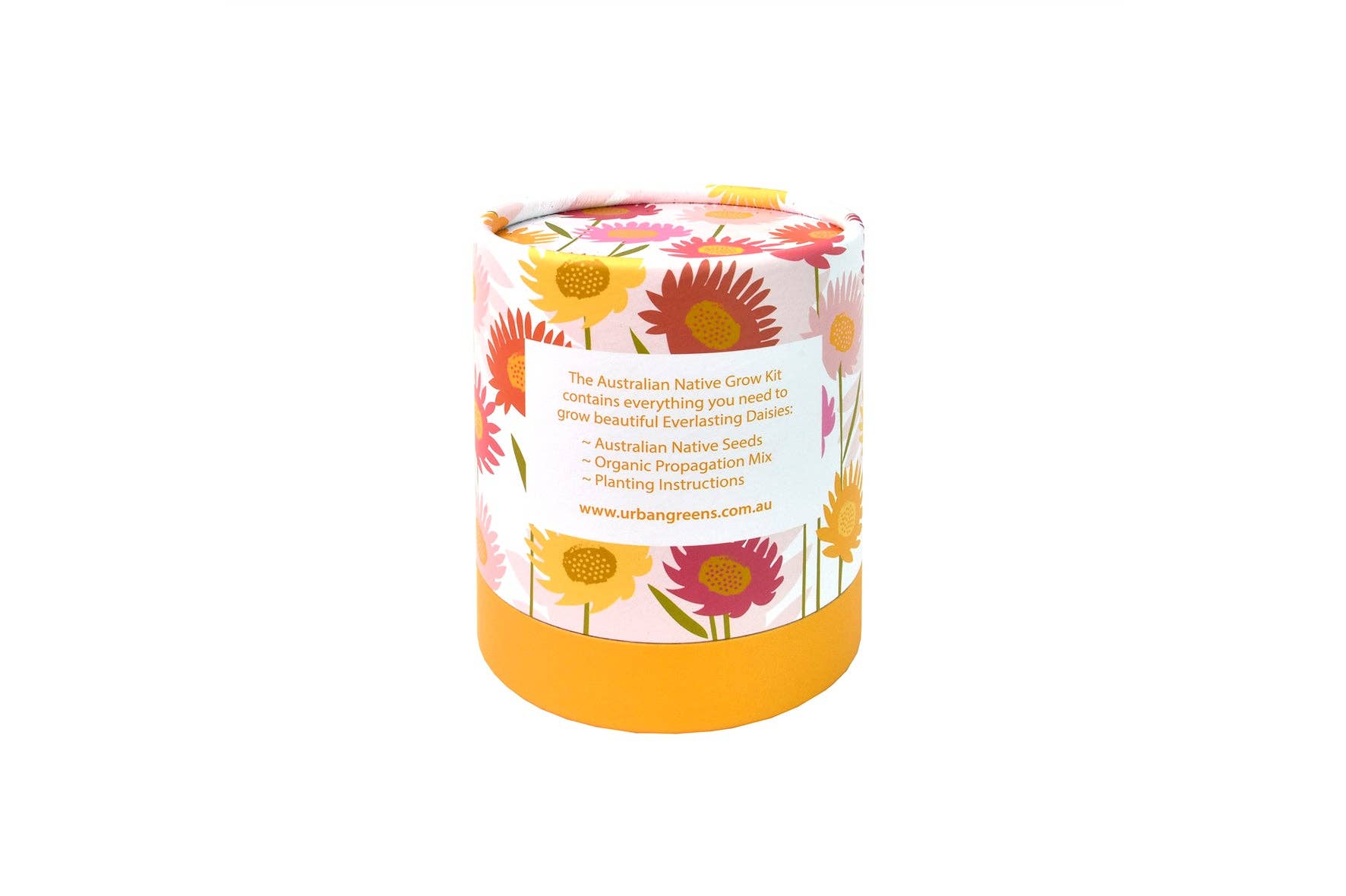 Urban Greens Australian Native Everlasting Daisies Grow Kit