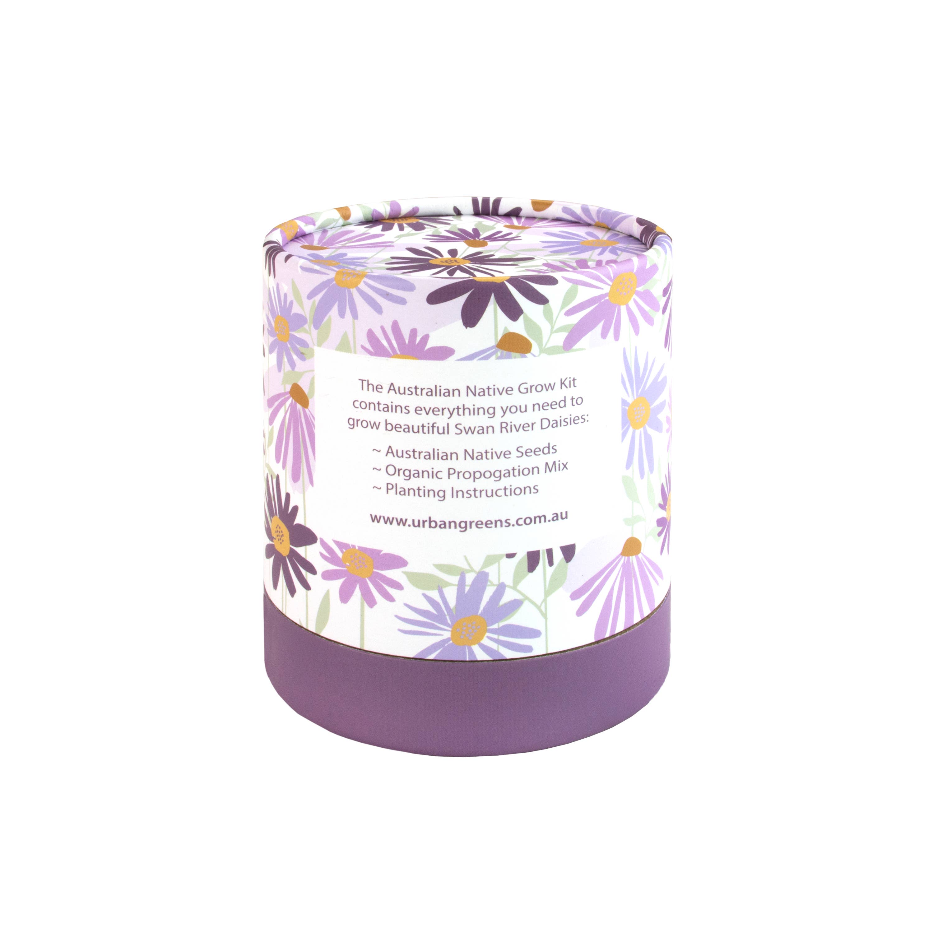 Urban Greens Australian Native Swan  Daisies Grow Kit