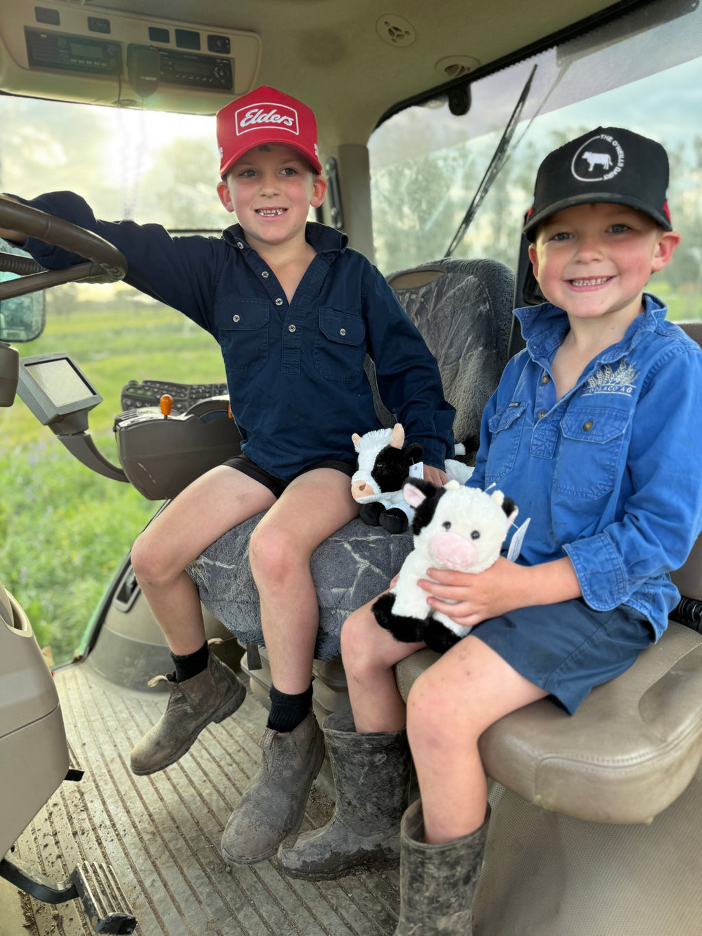Teddy Farm, Sitting Cow