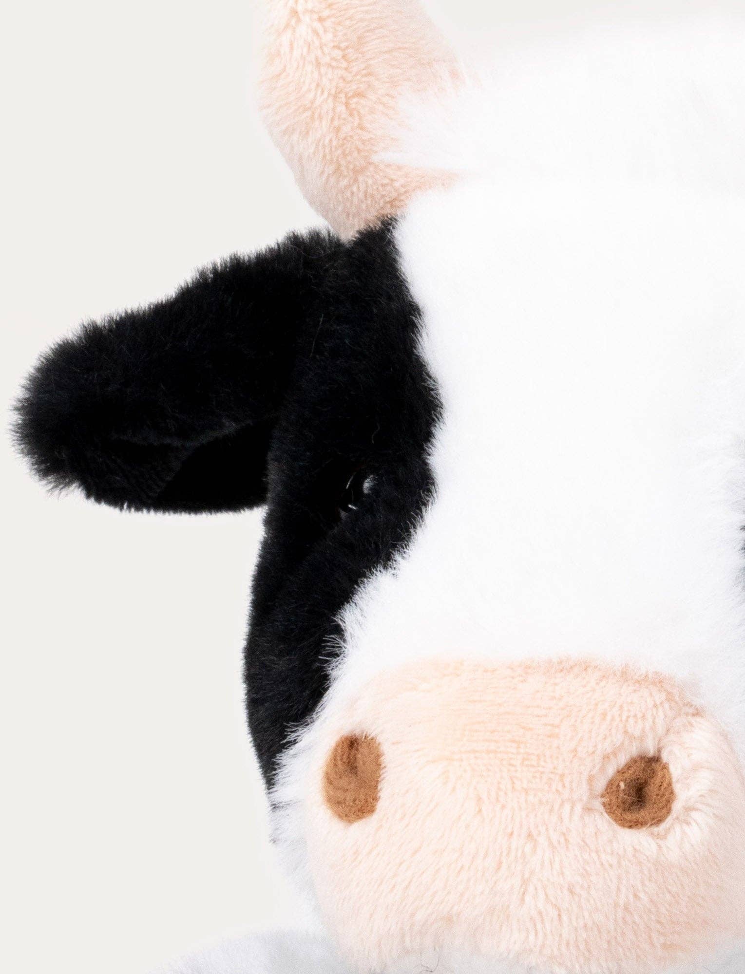 Teddy Farm, Lying Cow