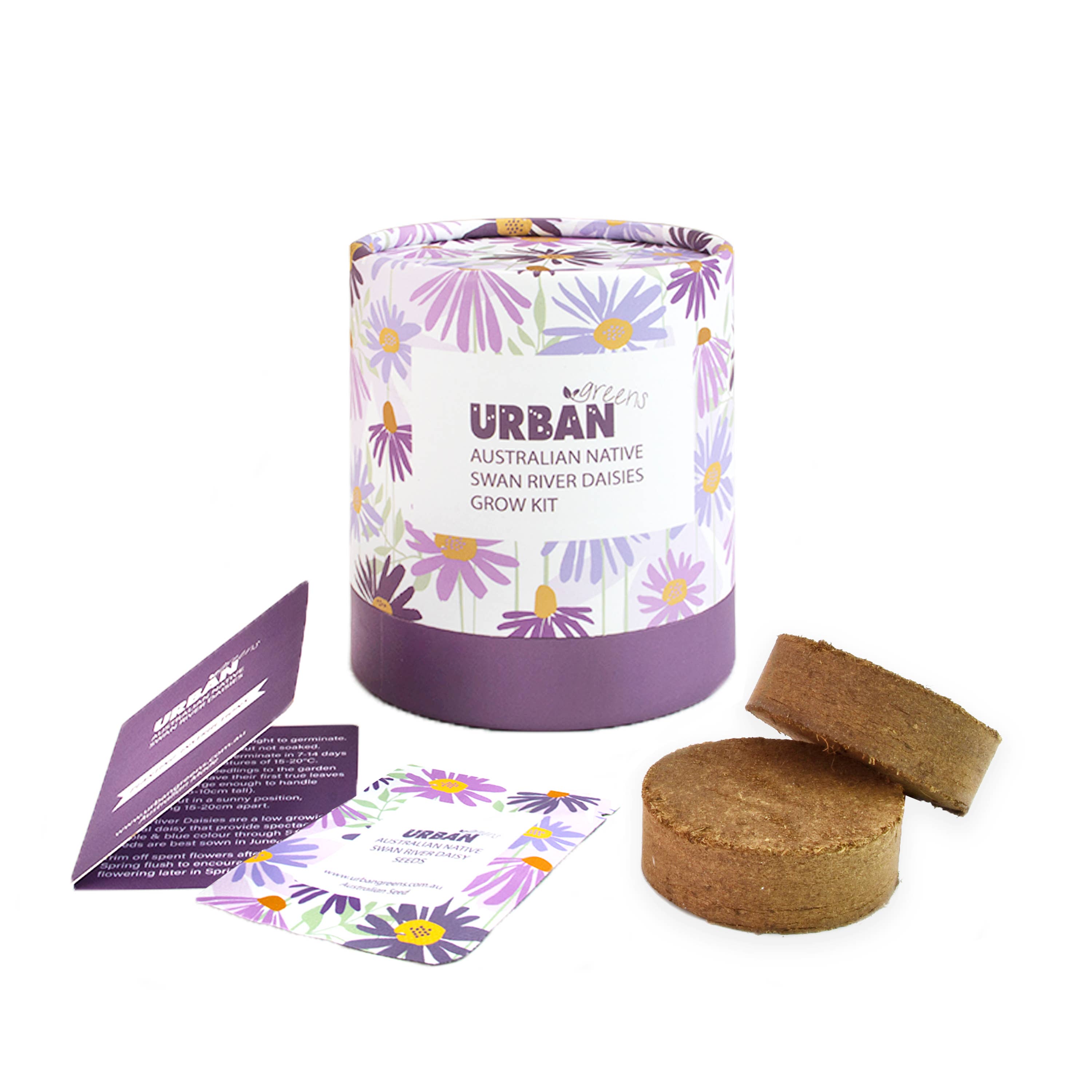 Urban Greens Australian Native Swan  Daisies Grow Kit